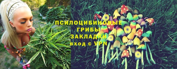 марихуана Заводоуковск