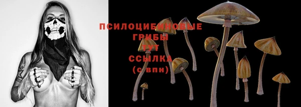 марихуана Заводоуковск