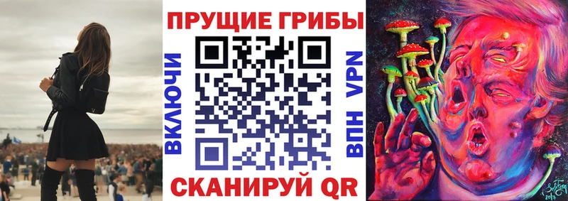 Псилоцибиновые грибы Psilocybe  omg как войти  Льгов  где купить  